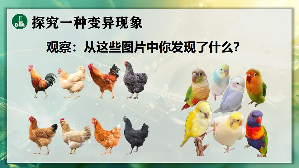 17723403第6页
