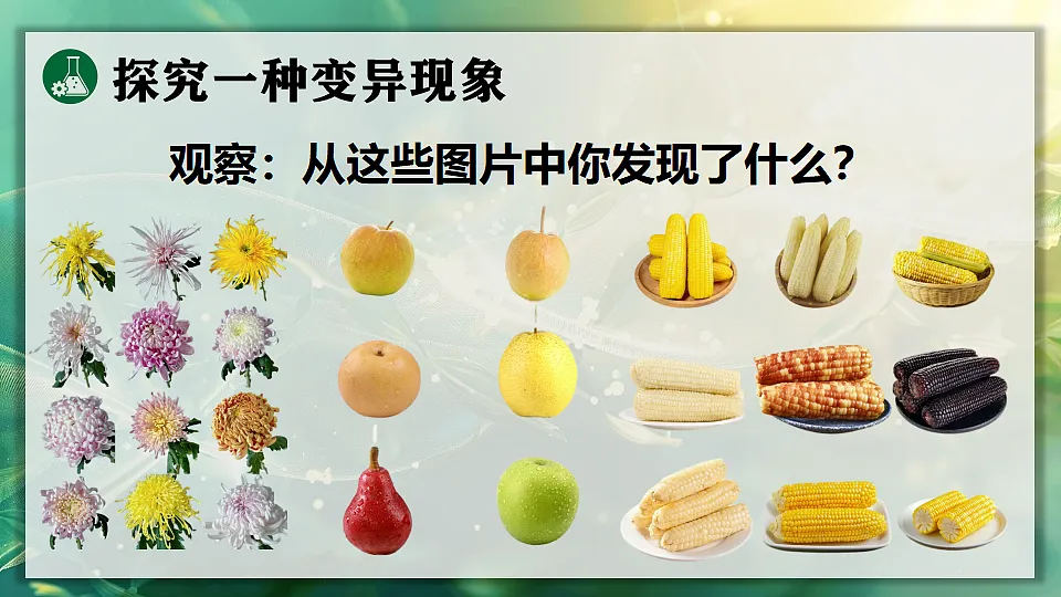 17723403第7页