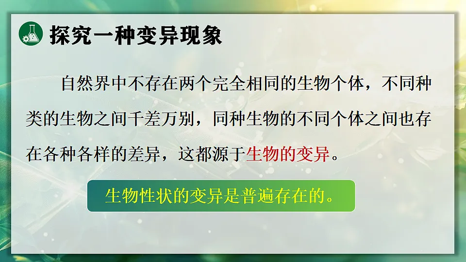 17723403第8页