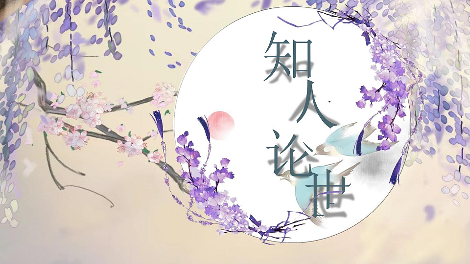 17724336第3页