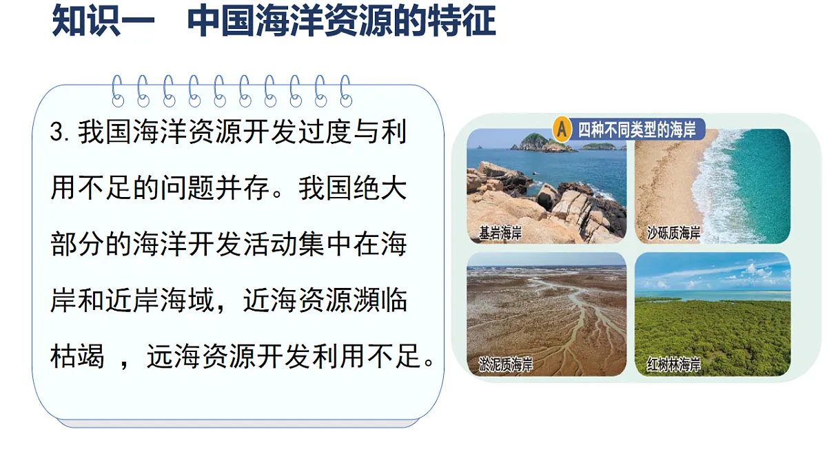 17724737第5页