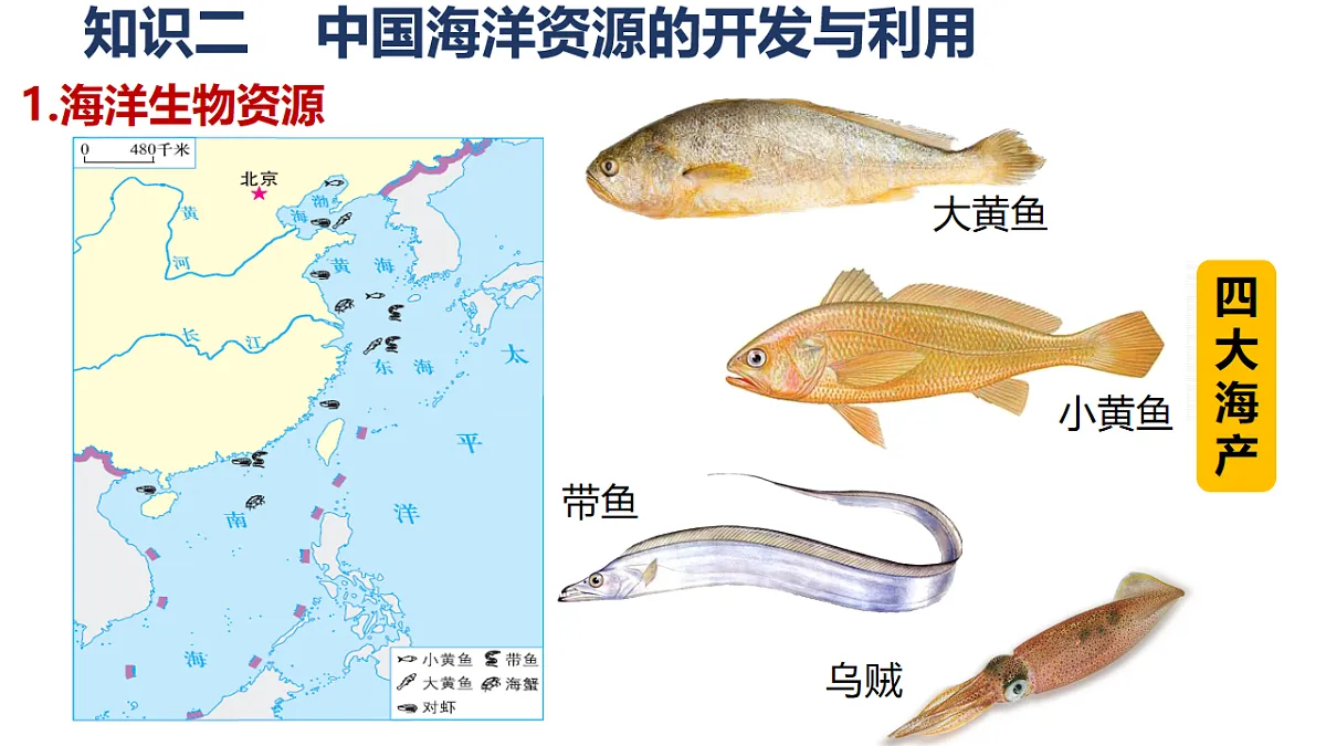 17724737第6页