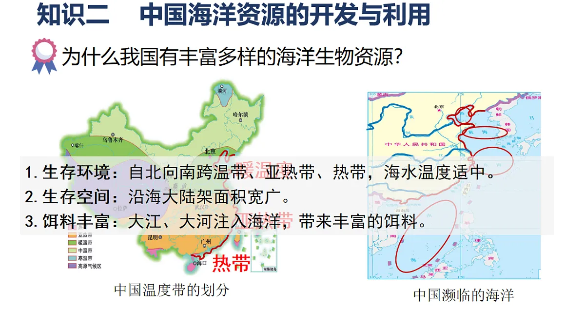 17724737第8页