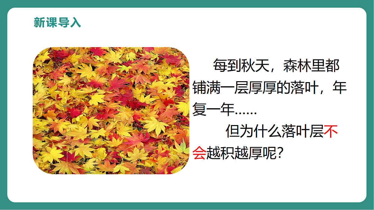 17725742第3页