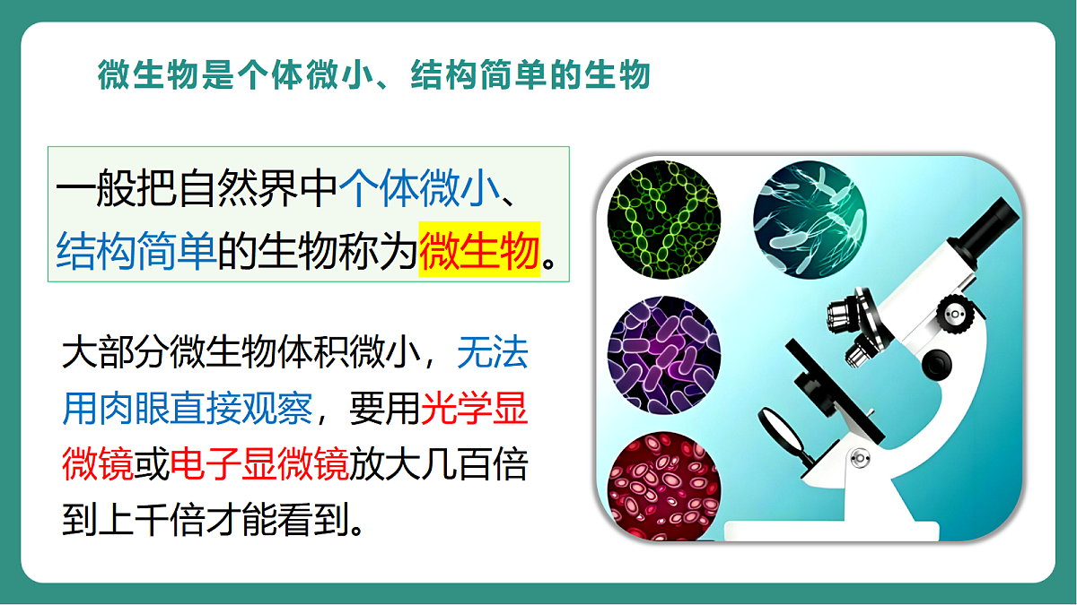 17725742第5页