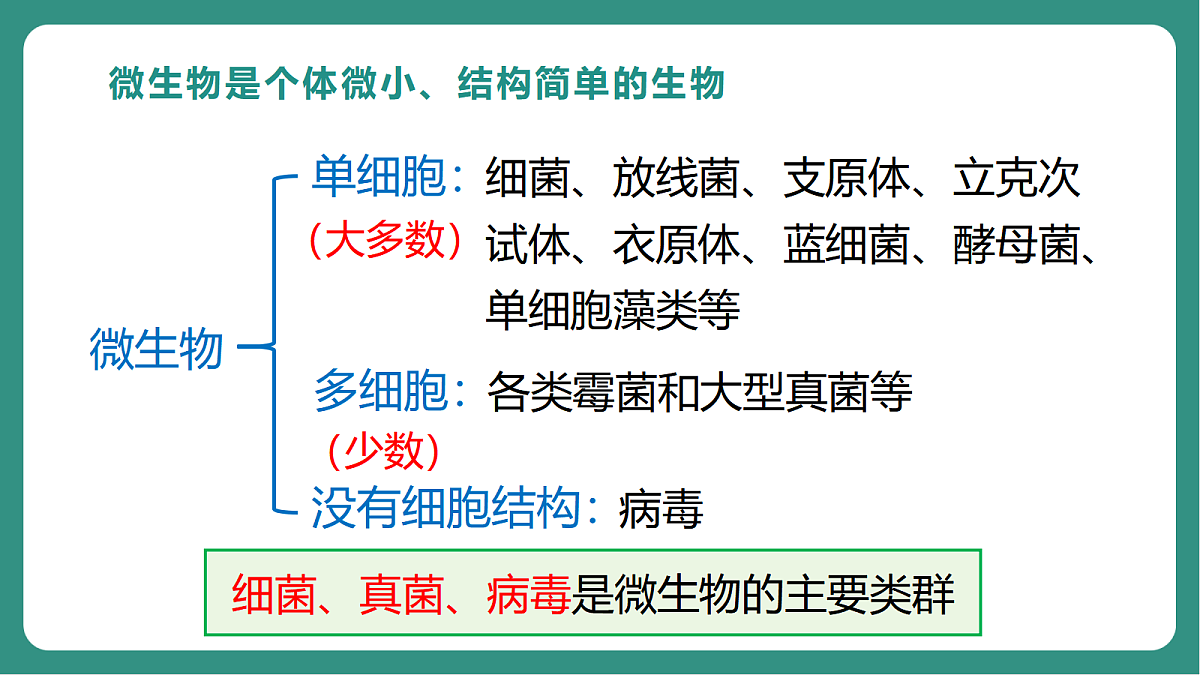 17725742第6页