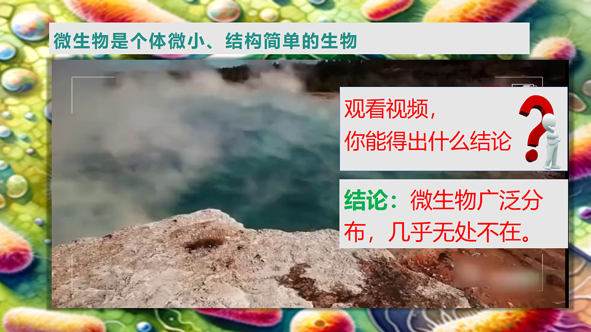 17725742第7页