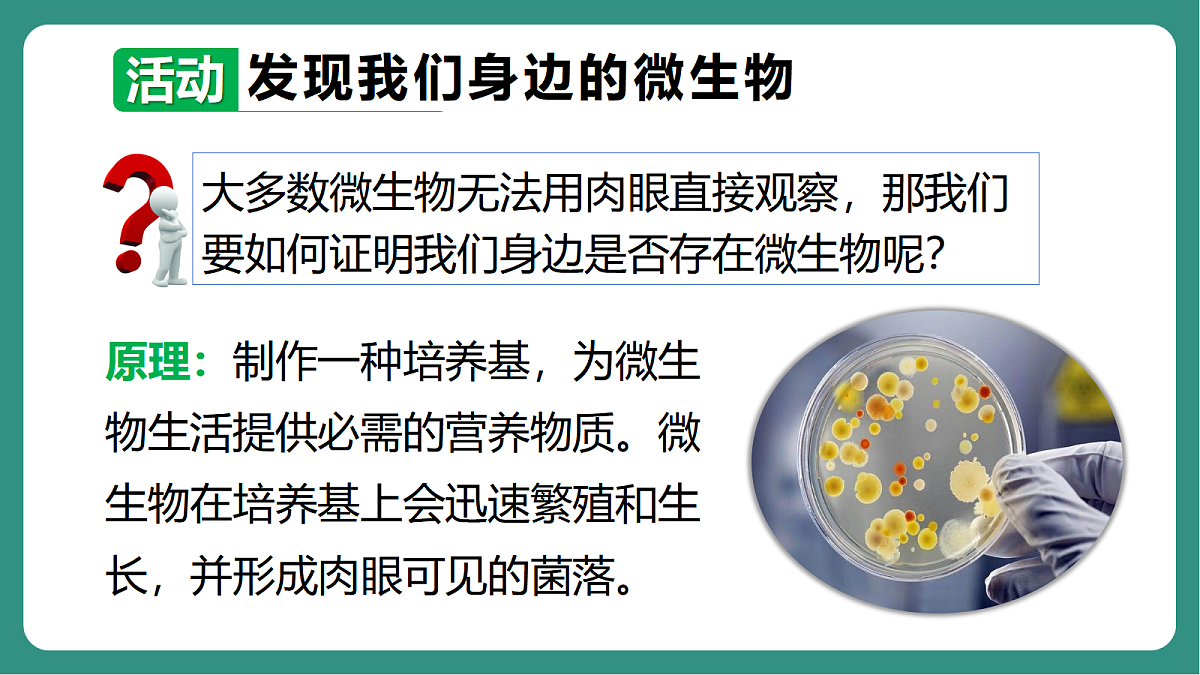 17725742第8页