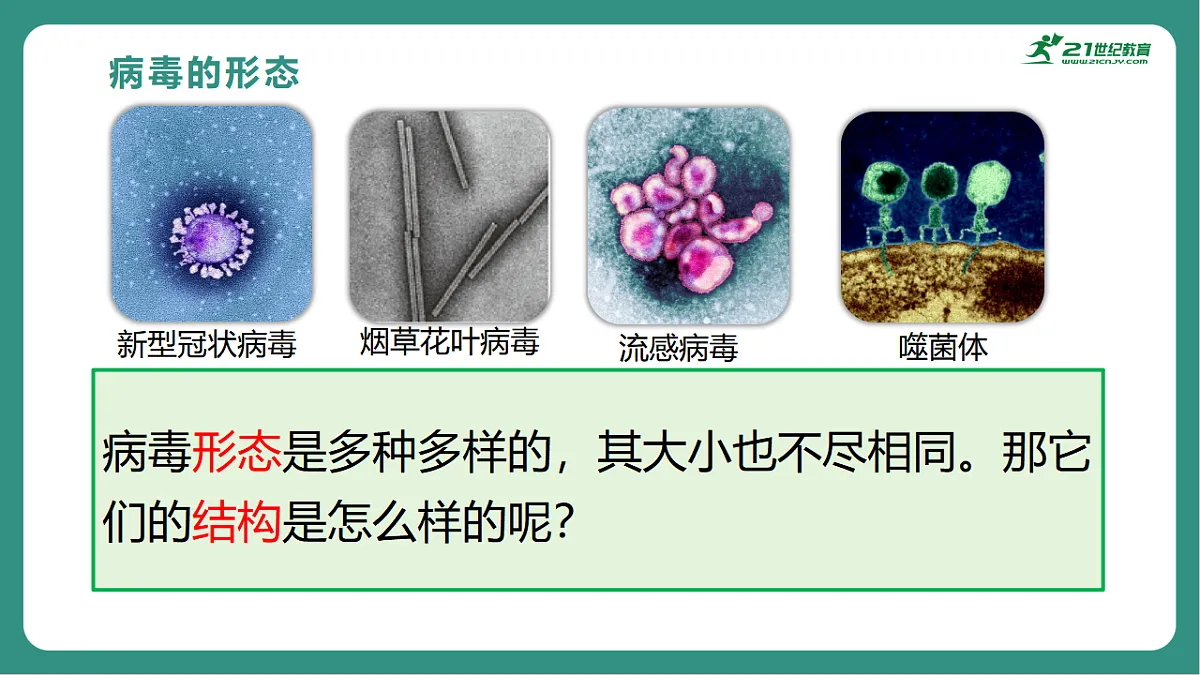 17725744第4页