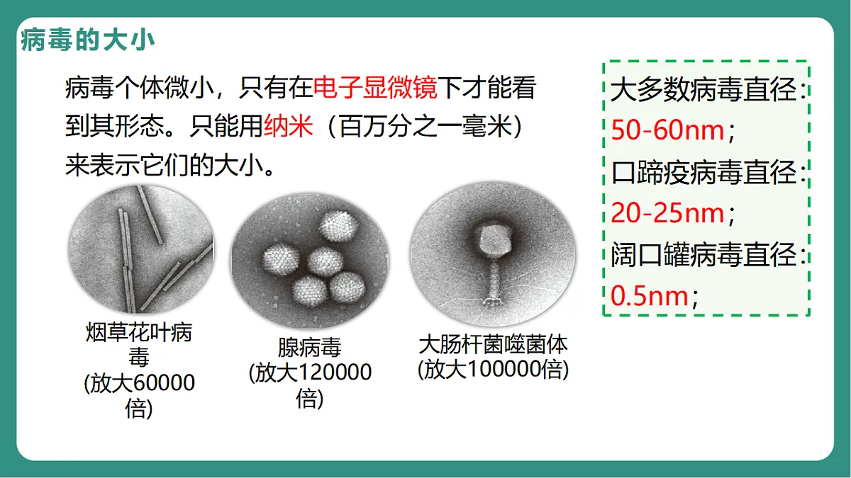 17725744第5页