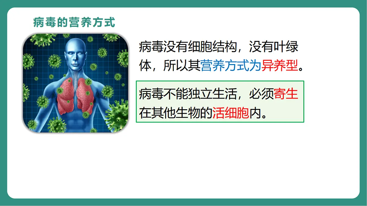 17725744第7页