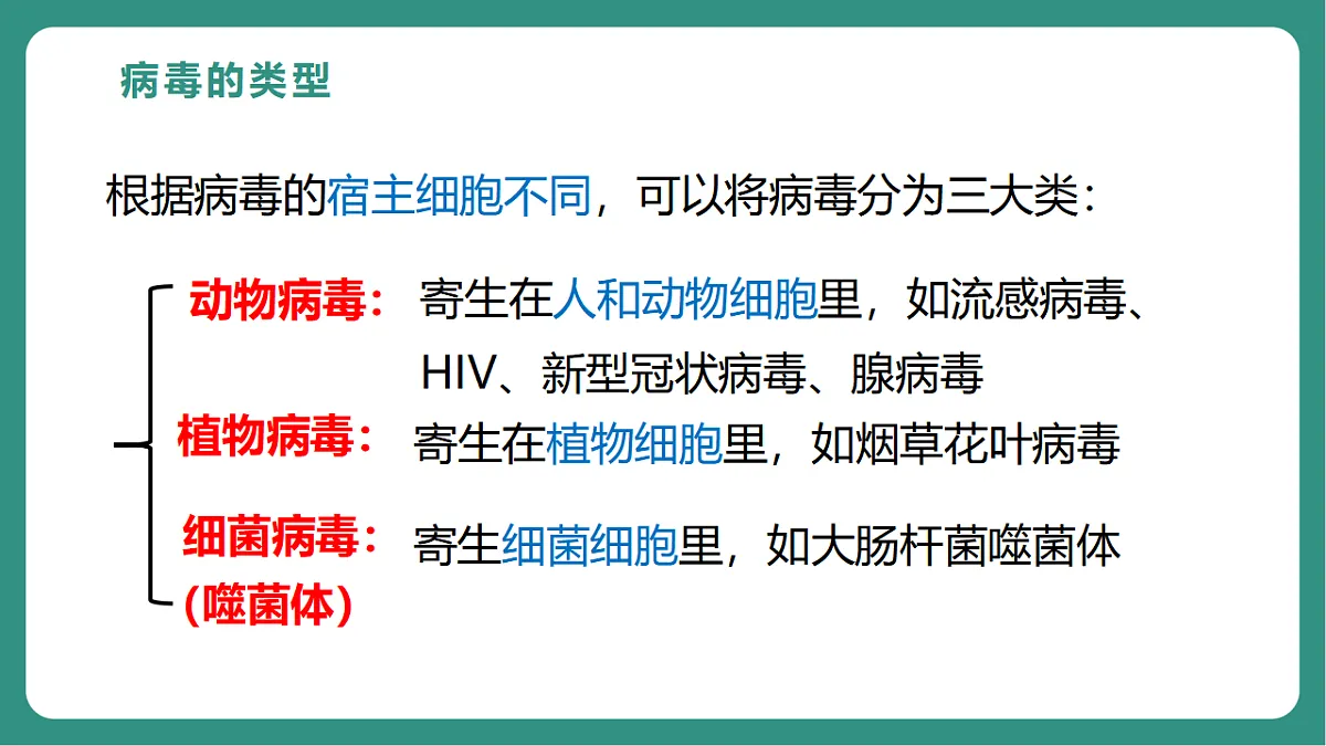17725744第8页