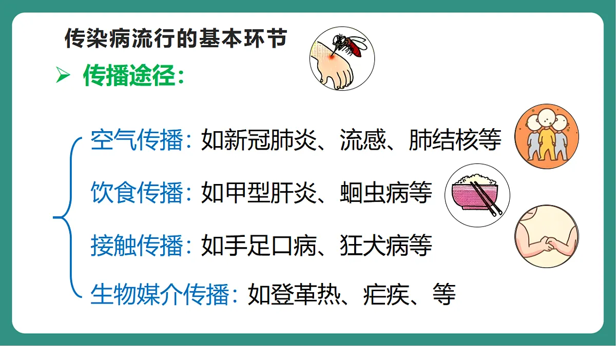 17725747第7页