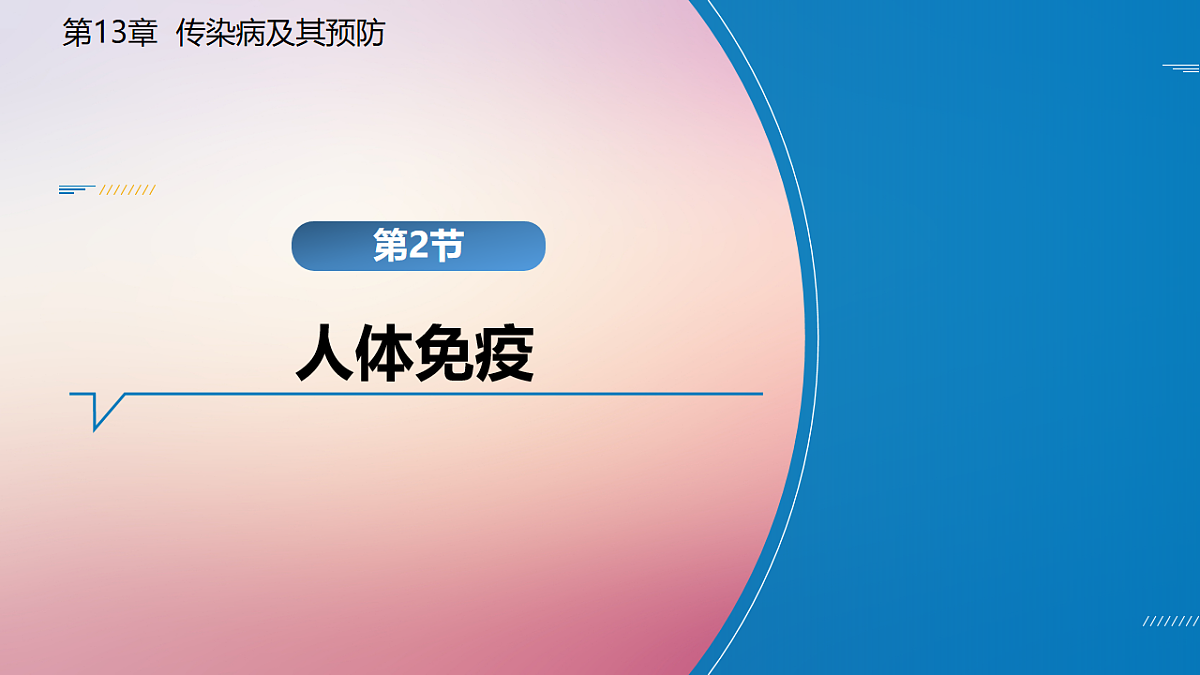 17725748第1页