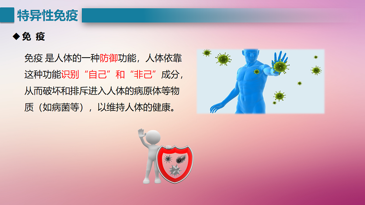 17725748第3页