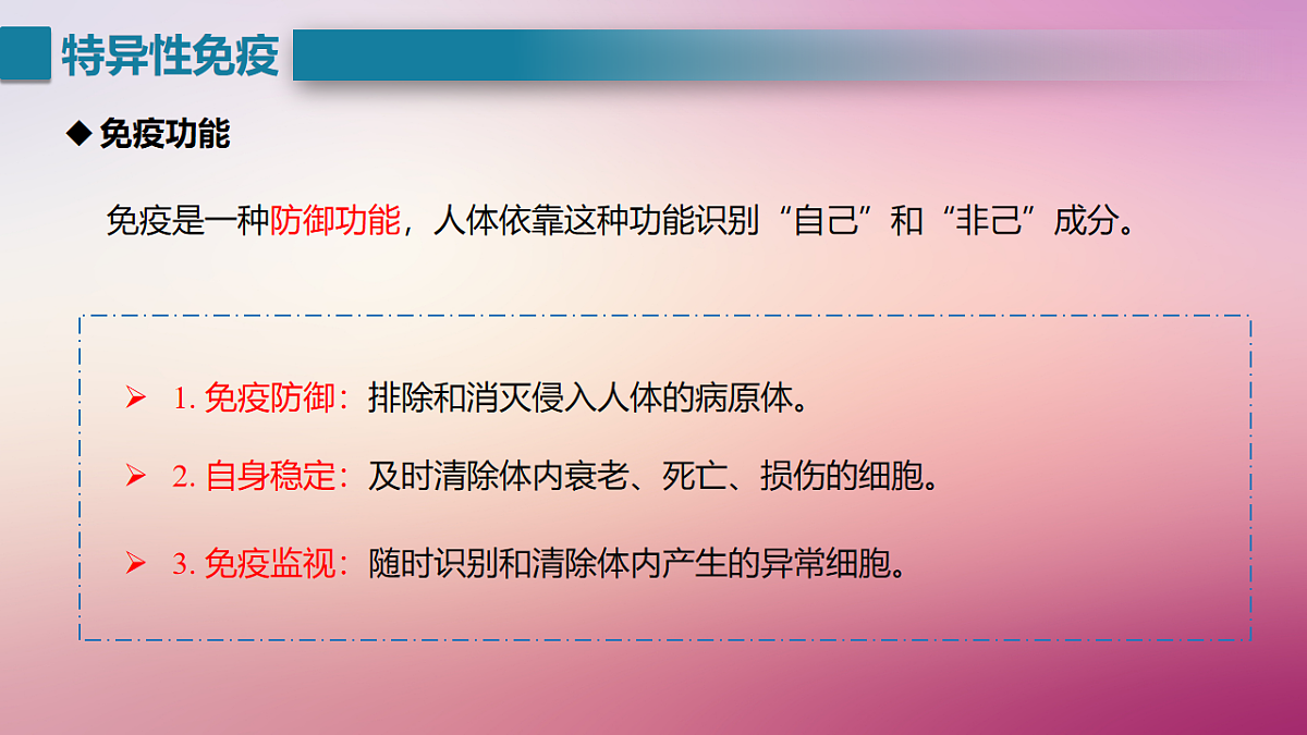 17725748第4页
