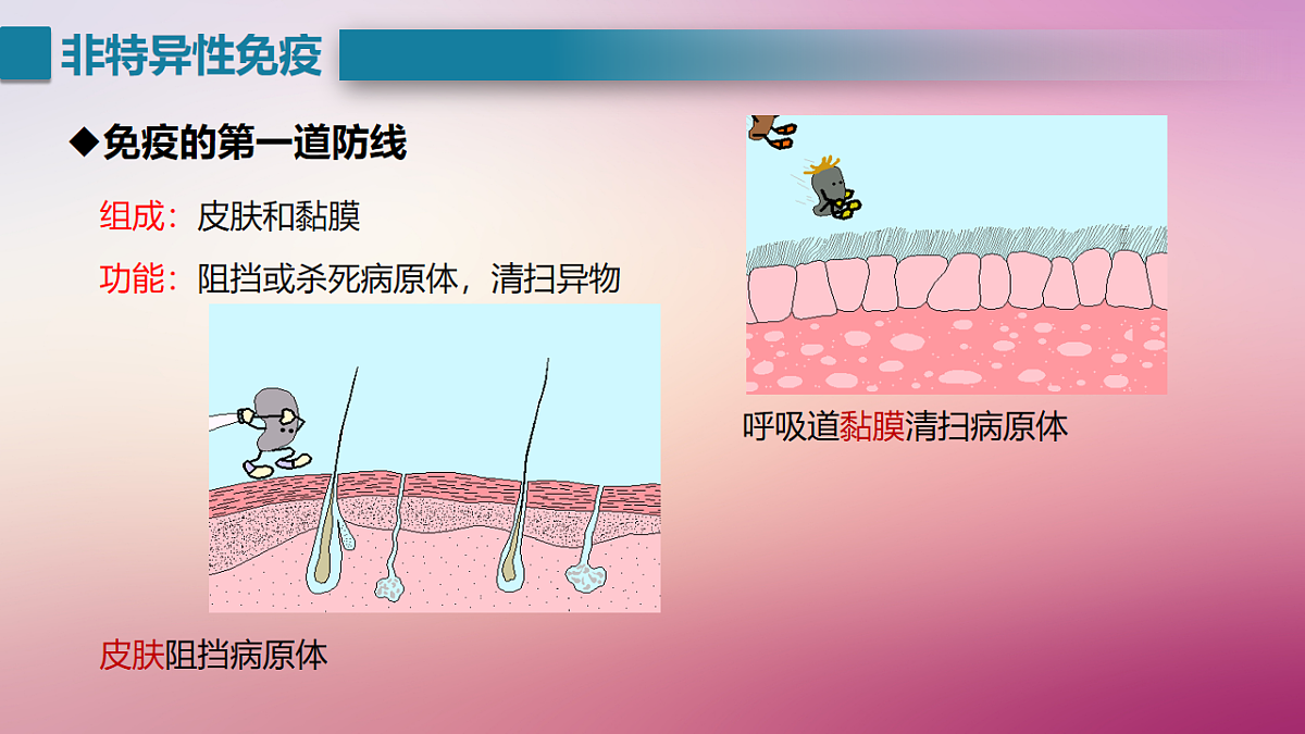 17725748第6页