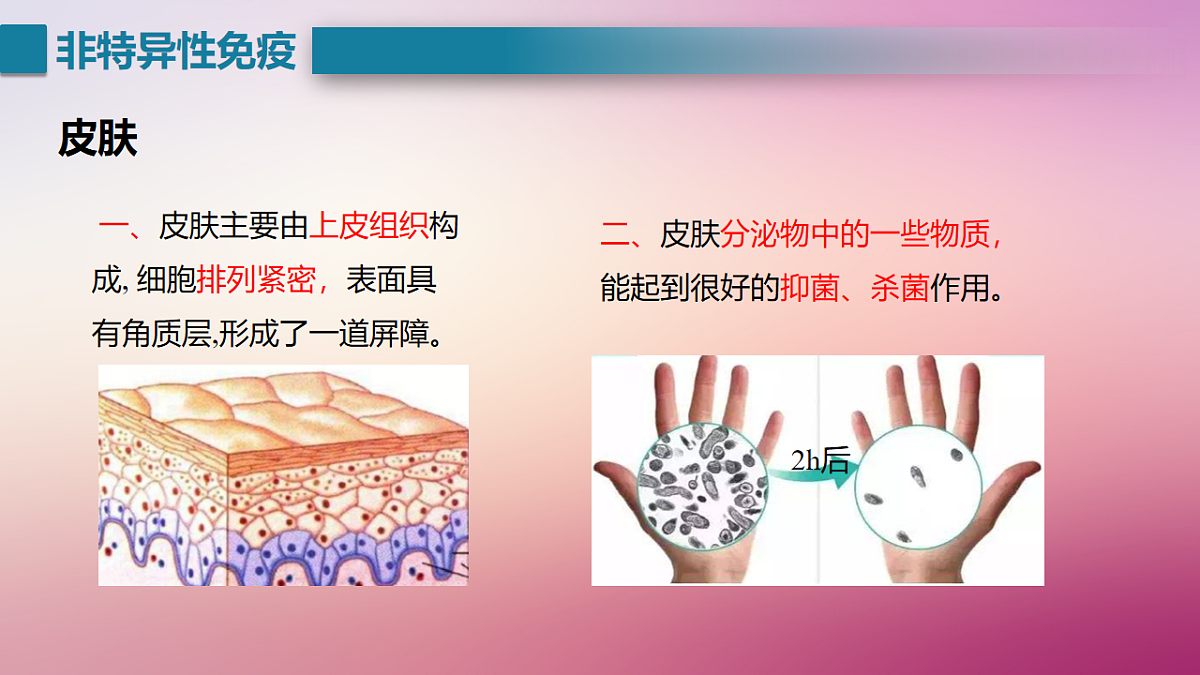 17725748第7页
