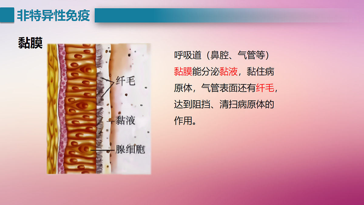17725748第8页