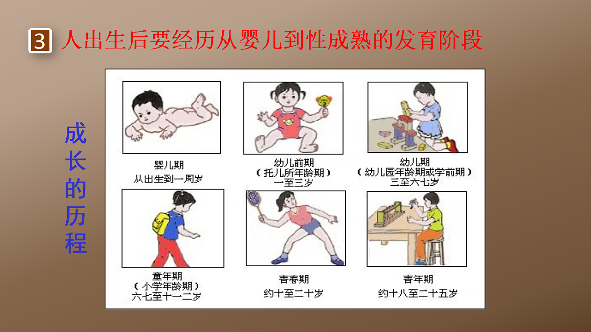 17725753第1页