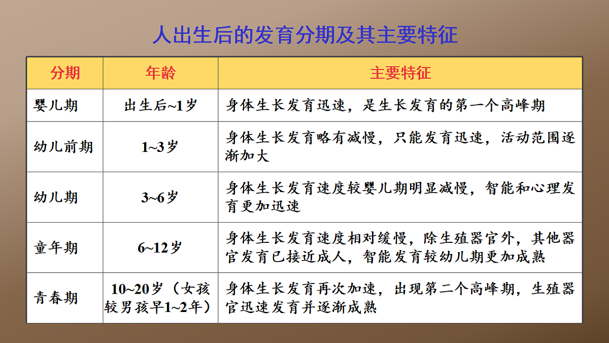 17725753第3页