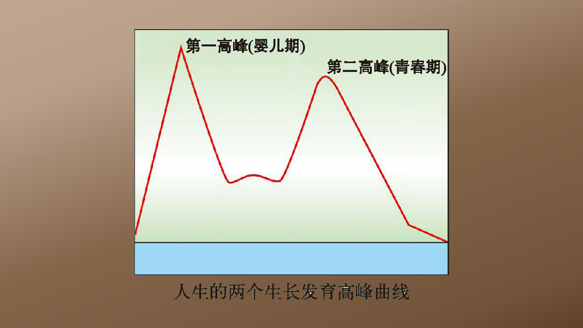 17725753第4页