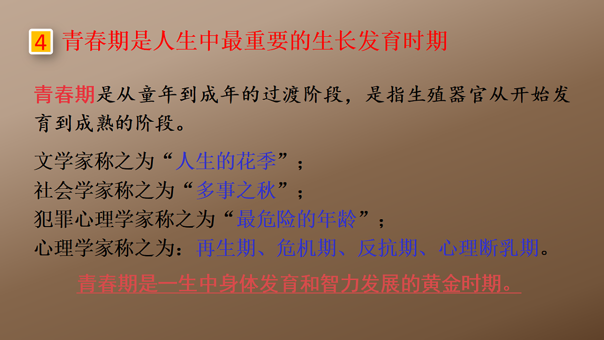 17725753第5页