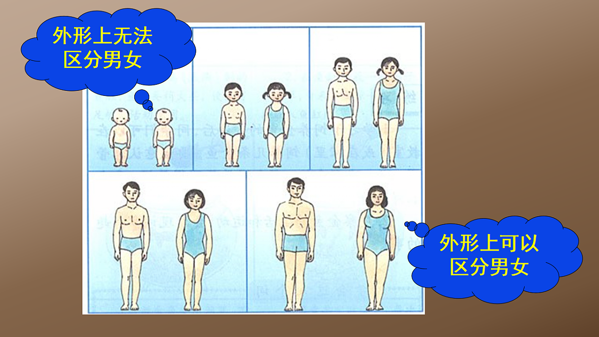 17725753第8页