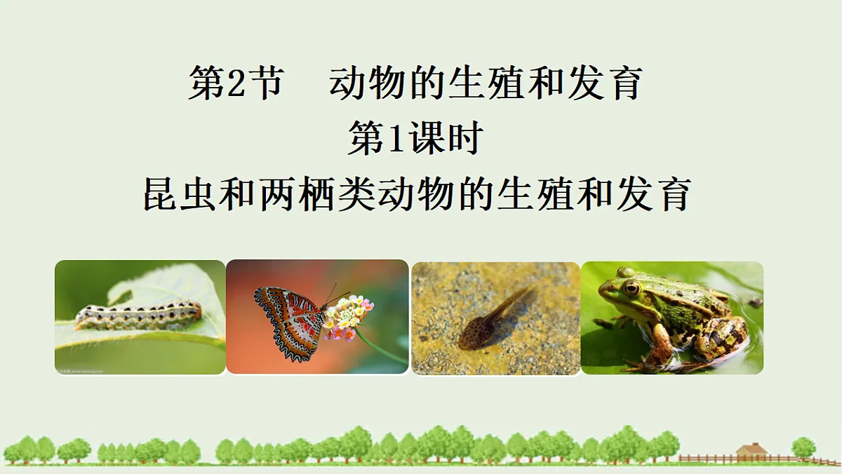 17725754第1页