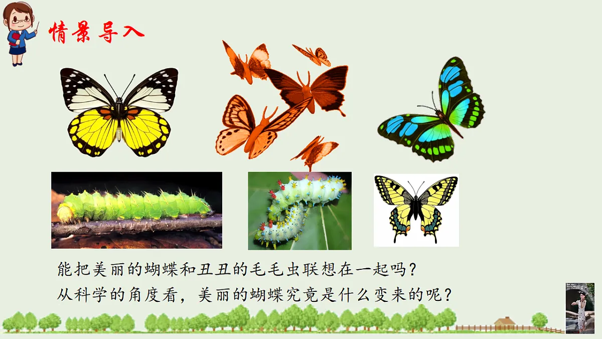 17725754第2页