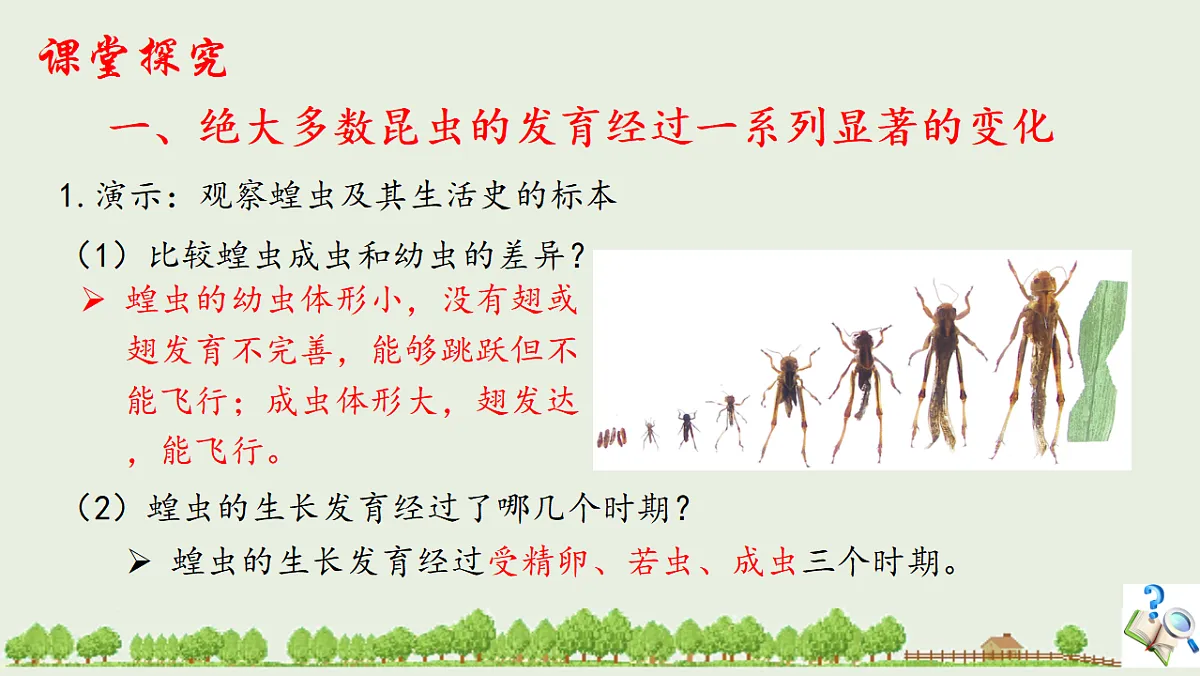 17725754第3页