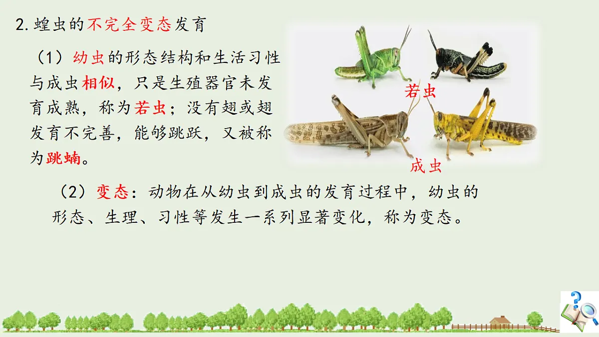 17725754第4页