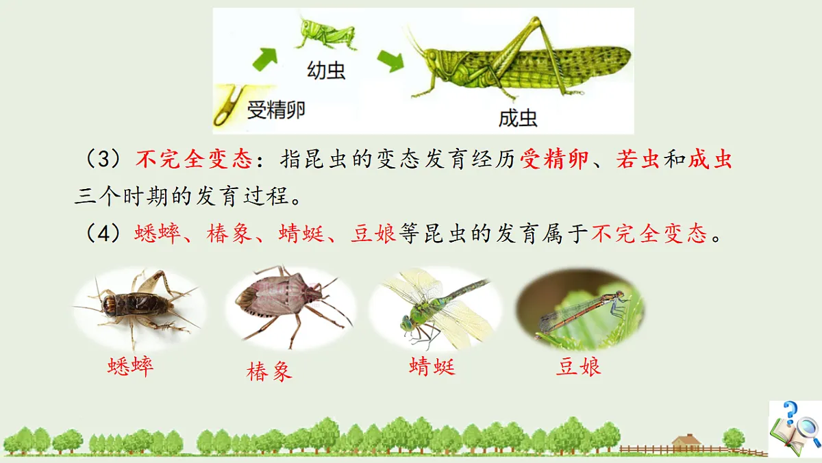 17725754第5页