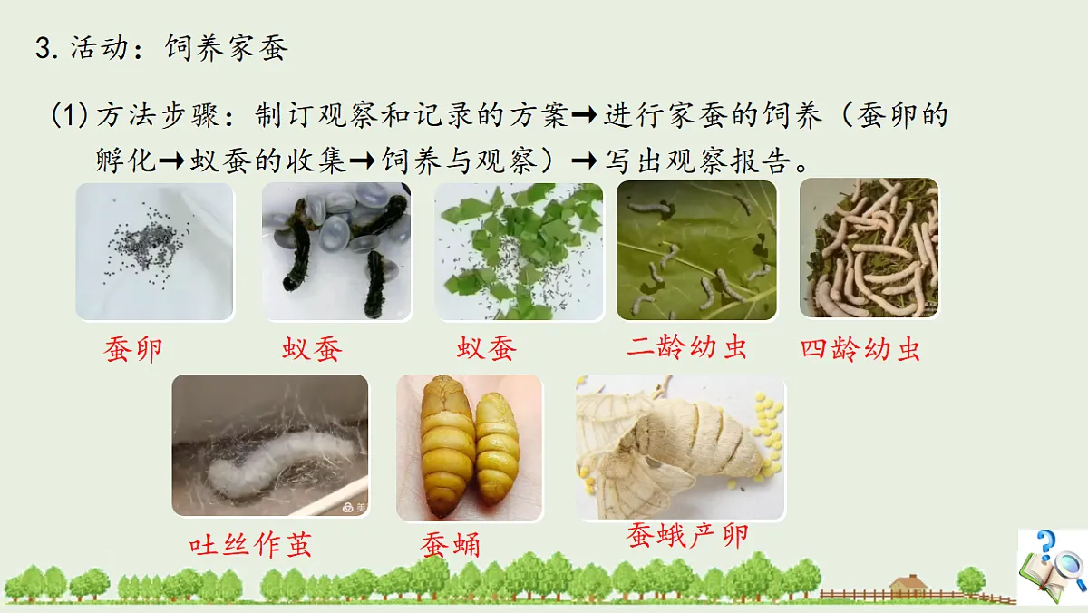 17725754第6页