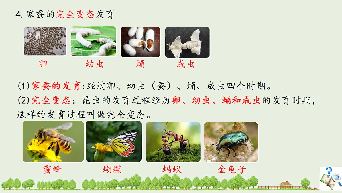 17725754第8页