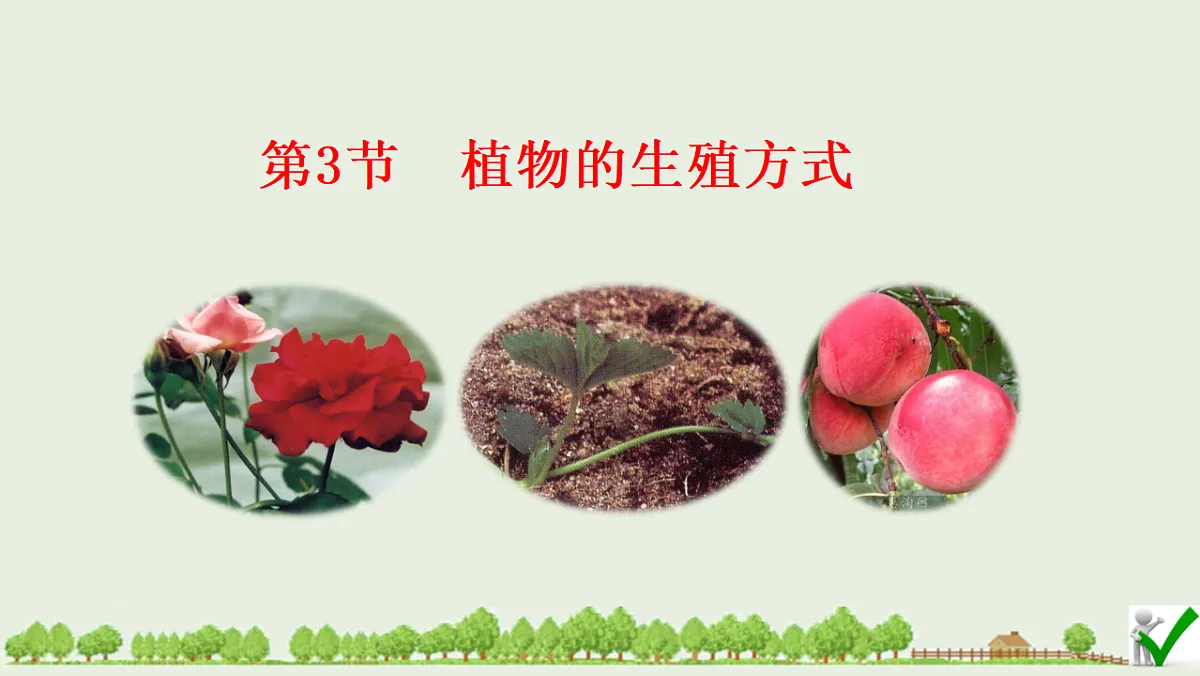 17725756第1页