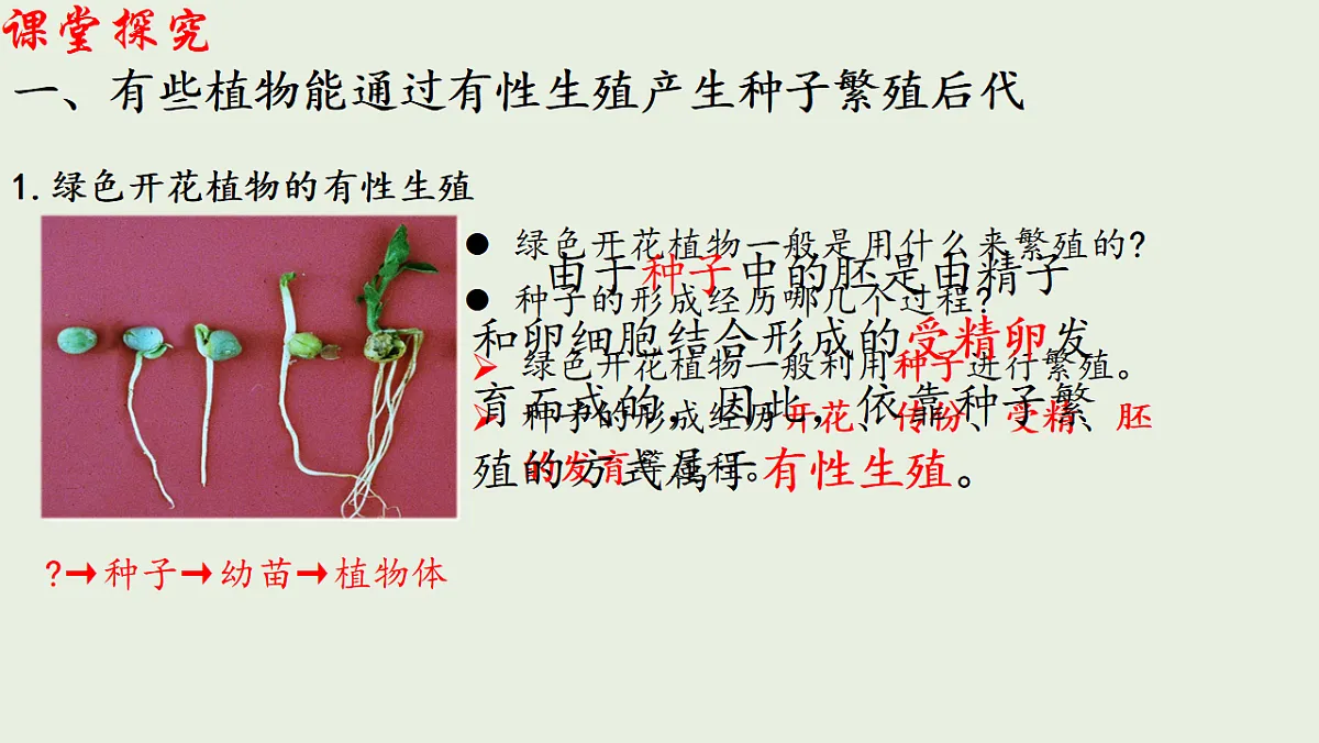 17725756第3页