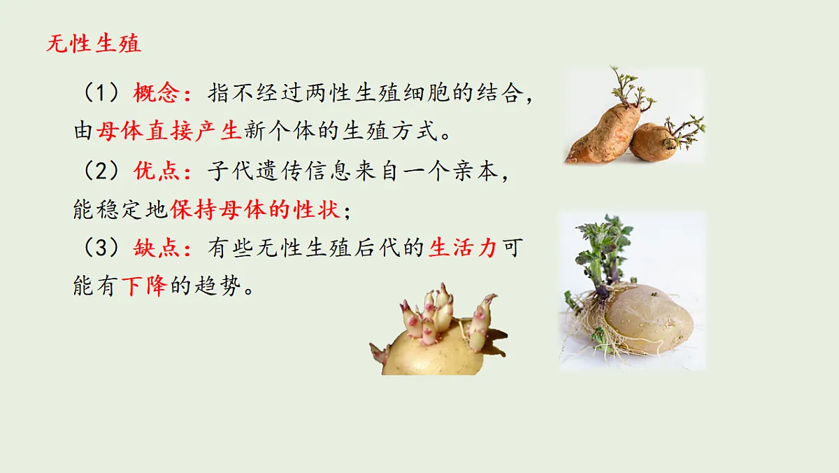 17725756第5页