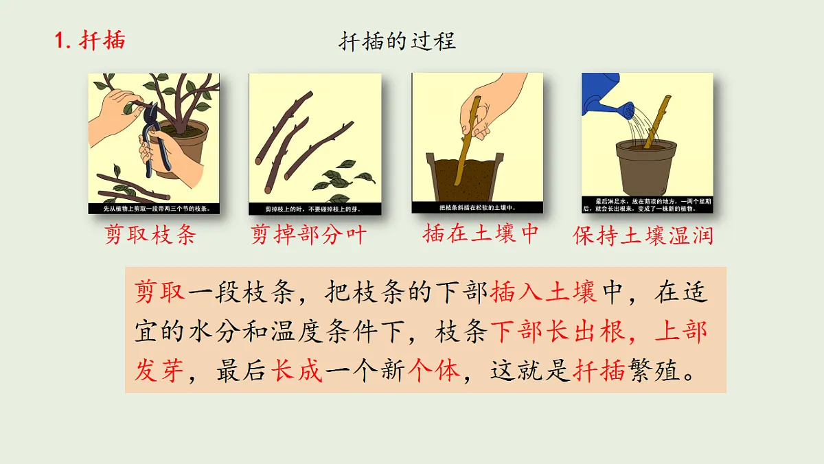 17725756第7页