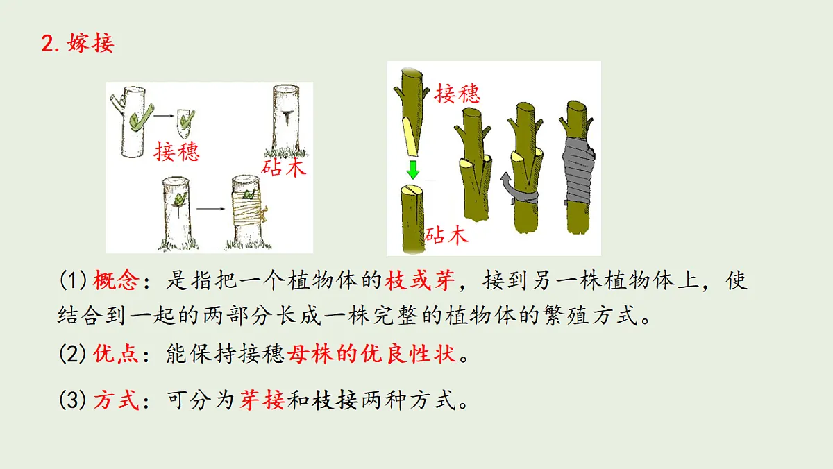 17725756第8页