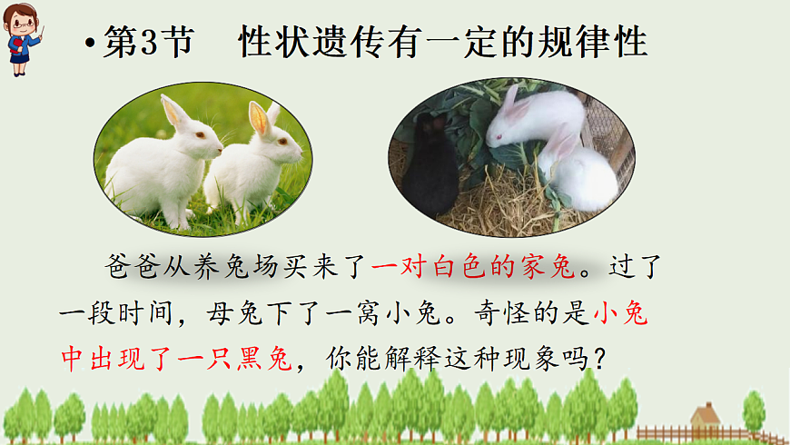 6.16.3 性状遗传有一定的规律性ppt课件第1页