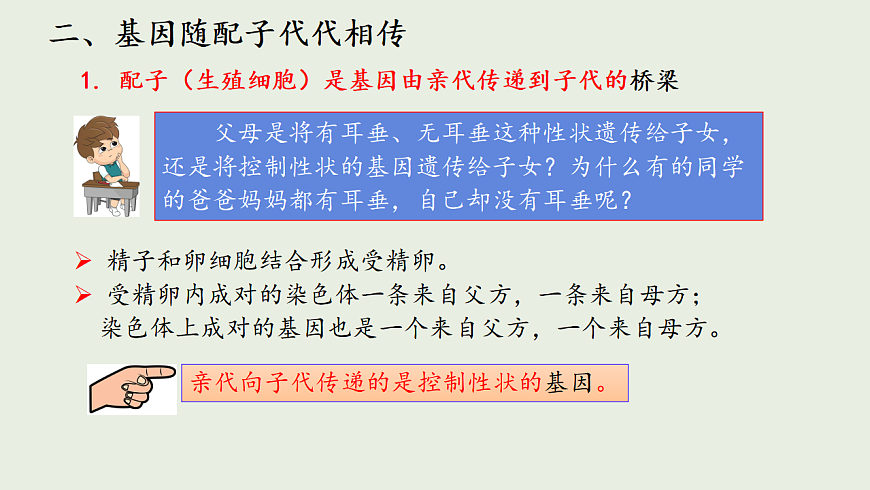 6.16.3 性状遗传有一定的规律性ppt课件第7页
