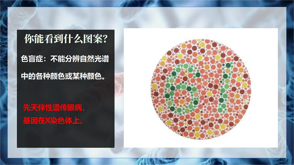 17725762第2页