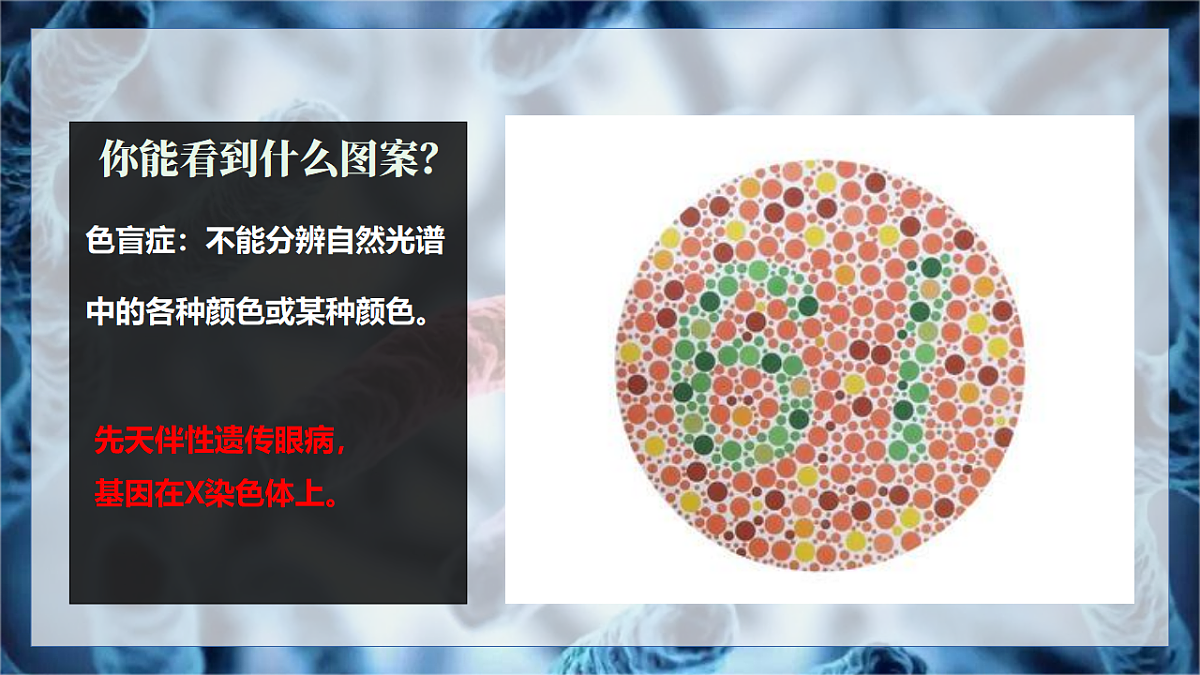 17725762第2页