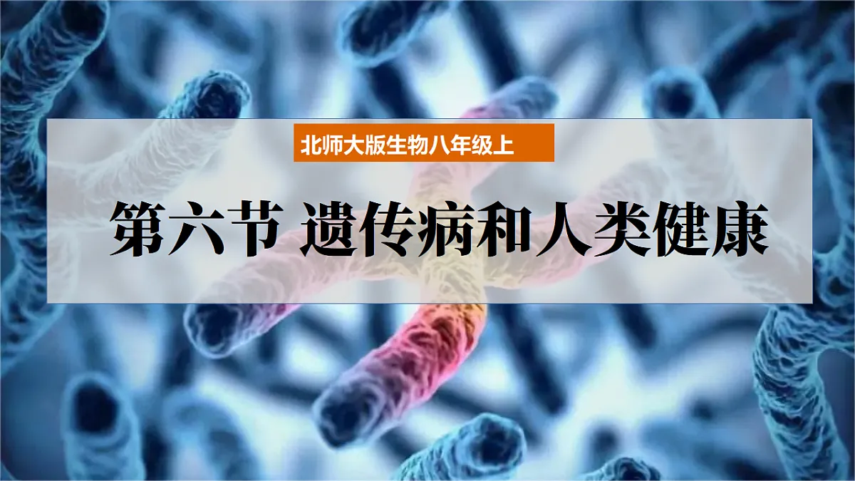 17725762第4页