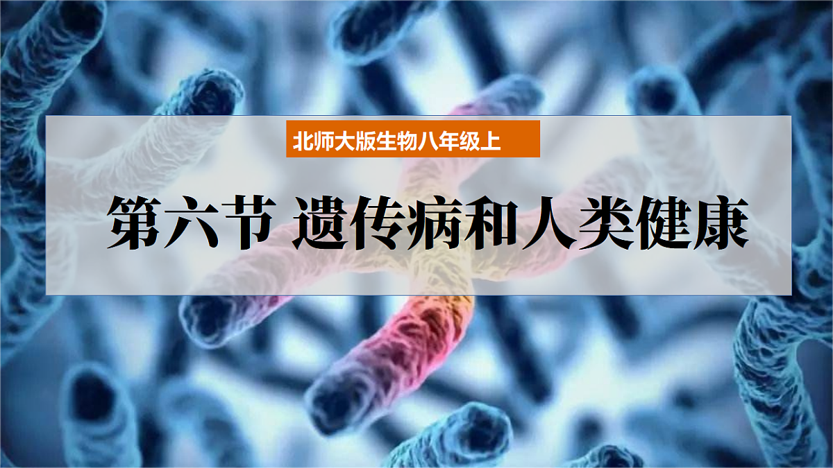 17725762第4页