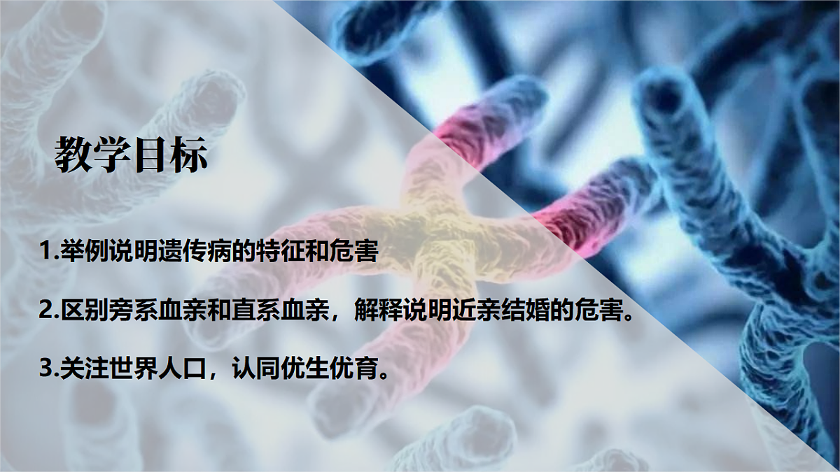 17725762第5页