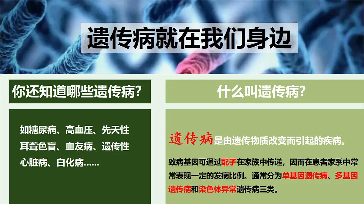 17725762第6页