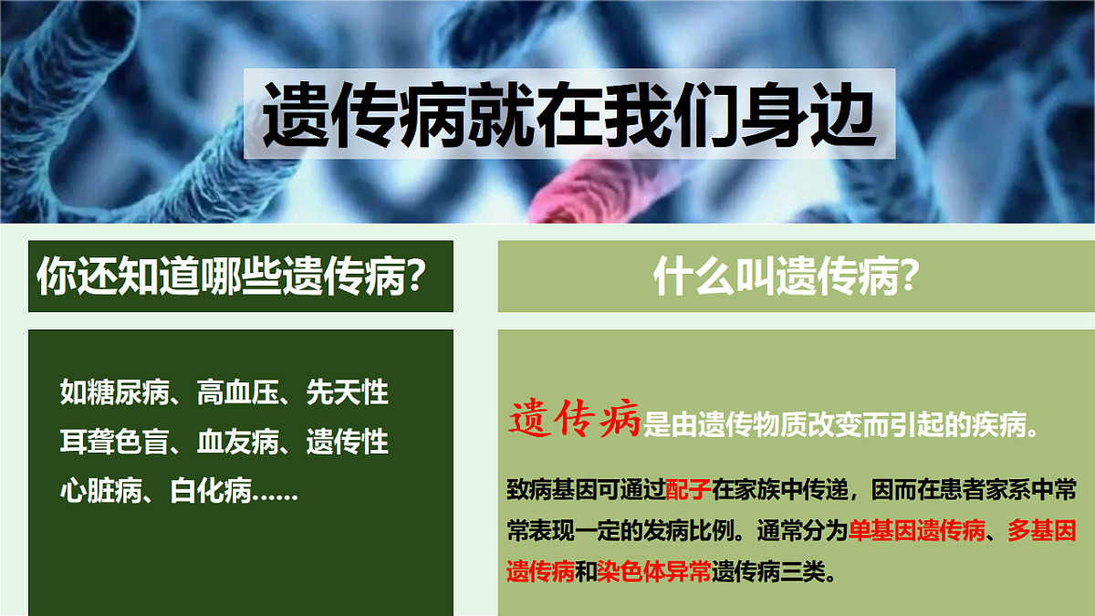 17725762第6页
