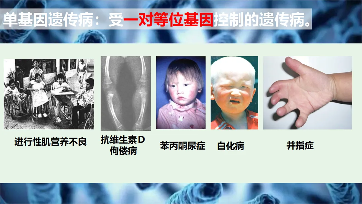 17725762第7页